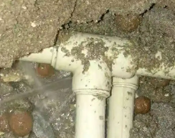 阳春测漏水多少钱