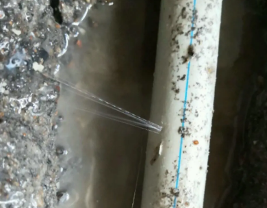 阳春测漏水哪家好