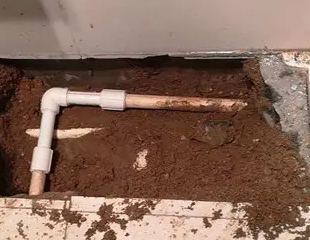 阳春测漏水哪家好