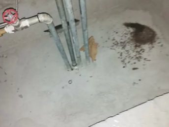 阳春卫生间测漏水价格明细