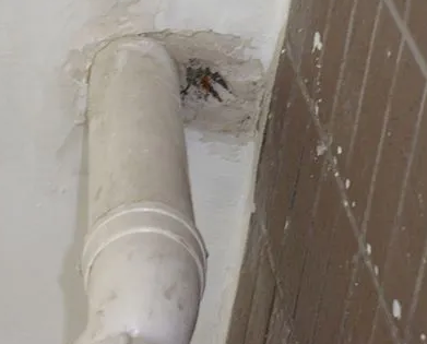 阳春漏水检测哪家好